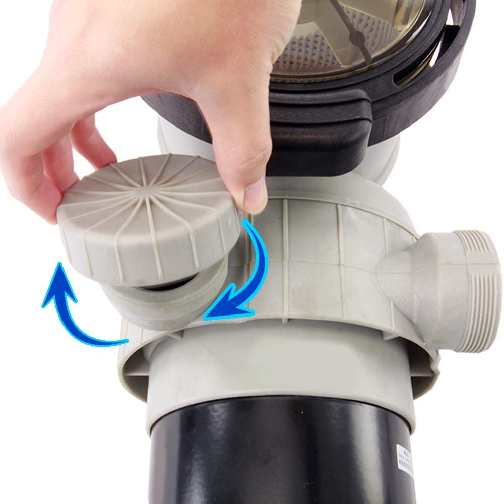 CALYX / DOWNPOUR 12インチx2 AquaPro 2HP 2-SPEED PurFlow Pool Pump w/ TEFC Motor – The